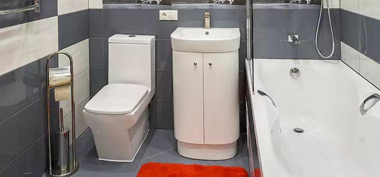 Hansgrohe Shaving Mirror Pawtucket